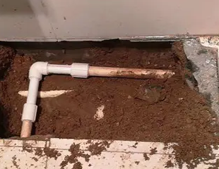 凤冈测漏水哪家好