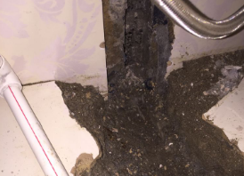 凤冈卫生间测漏水哪家好