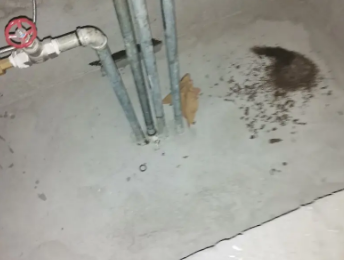 凤冈卫生间测漏水价格明细