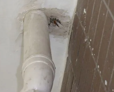 凤冈漏水检测哪家好